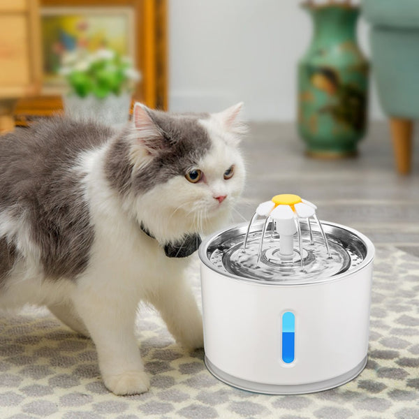 Fontaine d'eau automatique pour chat