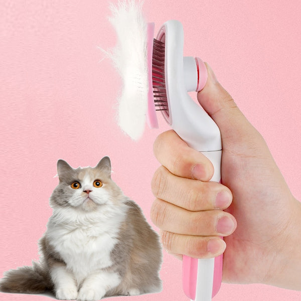 Brosse à cheveux pour chat